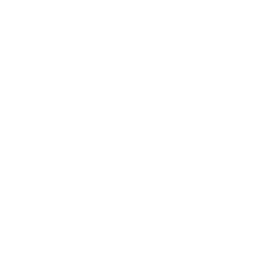 Organizational Developers